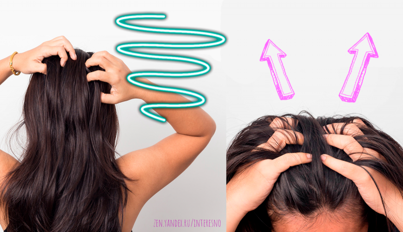 Как превратить тонкие волосы в густую шевелюру и почему нужно смотреть на волосы сзади