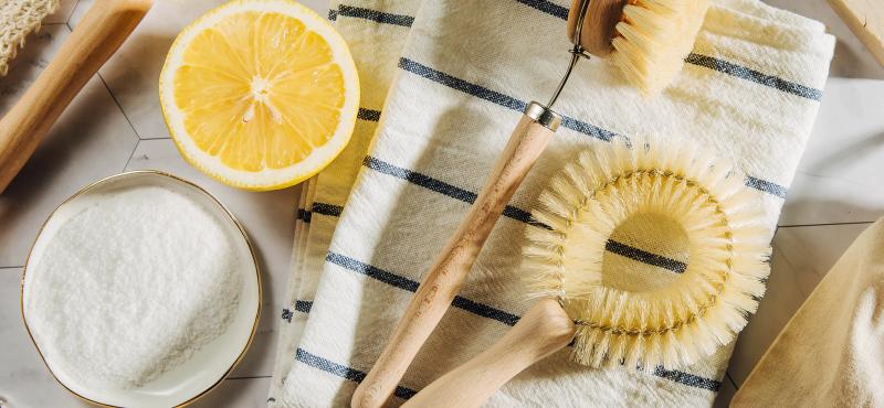 30+ привычек, которые помогут вам стать более экологичными в повседневной жизни