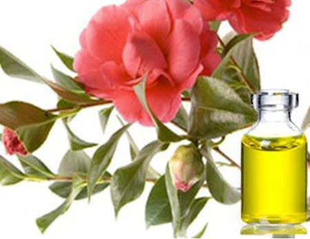 Масло для волос. Какое масло для волос выбрать и как его использовать. Отзывы